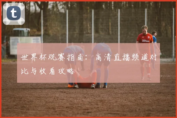 世界杯观赛指南：高清直播频道对比与收看攻略